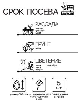 Семена цветов Пеларгония "Рафаэлла", розовая, 5 шт, F1,