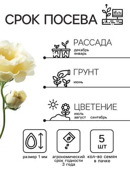 Семена цветов Эустома «Эйбиси», F1, зелёная крупноцветковая махровая, 5 шт., однолетник, «Аэлита» селекция PanAmerican Seed