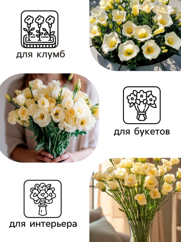 Семена цветов Эустома «Эйбиси», F1, зелёная крупноцветковая махровая, 5 шт., однолетник, «Аэлита» селекция PanAmerican Seed