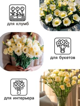 Семена цветов Эустома «Эйбиси», F1, зелёная крупноцветковая махровая, 5 шт., однолетник, «Аэлита» селекция PanAmerican Seed