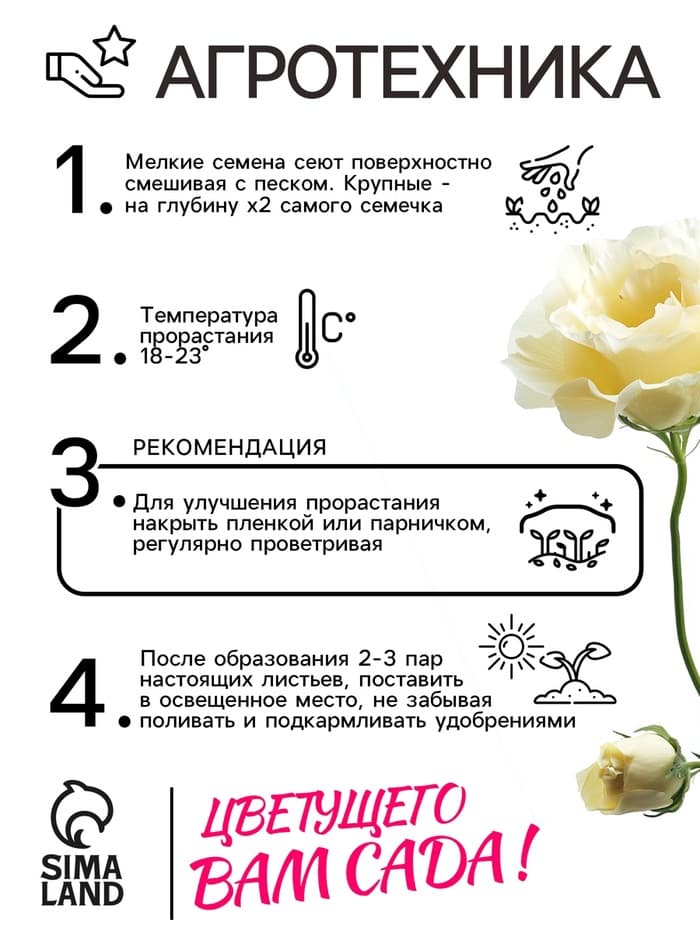 Семена цветов Эустома «Эйбиси», F1, зелёная крупноцветковая махровая, 5 шт., однолетник, «Аэлита» селекция PanAmerican Seed