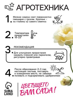 Семена цветов Эустома «Эйбиси», F1, зелёная крупноцветковая махровая, 5 шт., однолетник, «Аэлита» селекция PanAmerican Seed