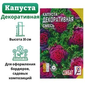 Семена цветов Капуста Декоративная, смесь, 40 шт., «Сембат»