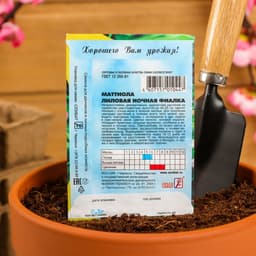 Семена Цветов Маттиола «Лиловая», 0.5 г, «Сембат»