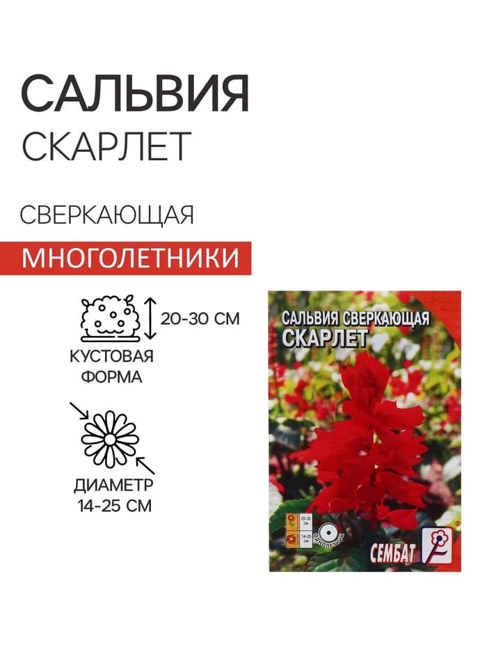 Семена цветов Сальвия сверкающая "Скарлет", 0,05 г