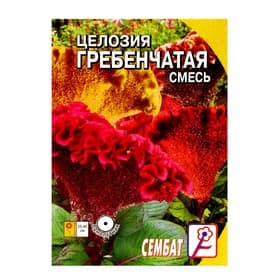 Семена цветов Целозия «Гребенчатая» смесь, 0.1 г