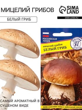 Мицелий грибов Белый гриб, 60 мл, «Престиж семена»