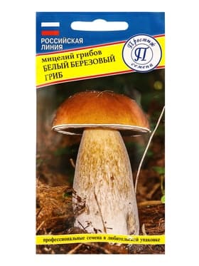 Мицелий грибов Белый гриб «Берёзовый», 60 мл, «Престиж семена»