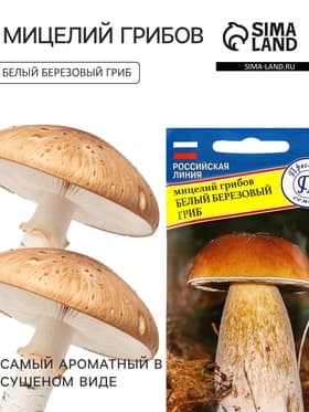Мицелий грибов Белый гриб «Берёзовый», 60 мл, «Престиж семена»