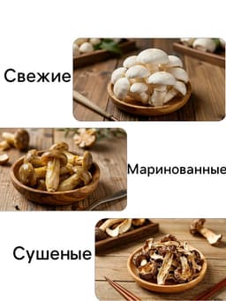 Мицелий грибов Белый гриб «Берёзовый», 60 мл, «Престиж семена»