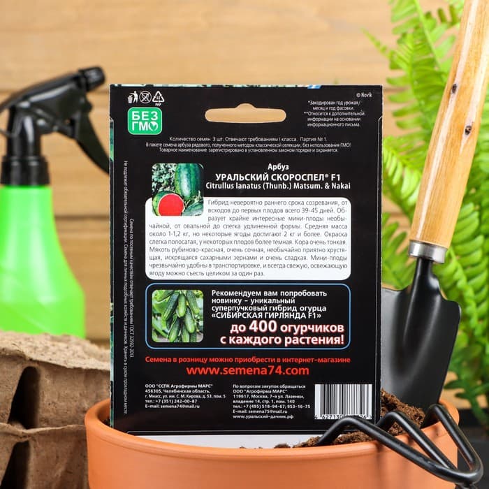 Семена Арбуз «Уральский Скороспел», F1, 3 шт., «Уральский дачник»