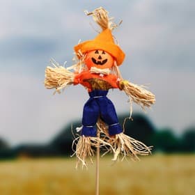 Огородное пугало «Тыква», 16 см, h=50 см, МИКС, Greengo