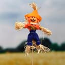 Огородное пугало «Тыква», 16 см, h=50 см, МИКС, Greengo