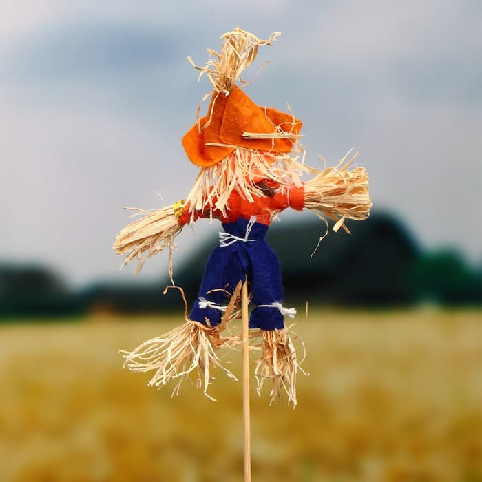 Огородное пугало «Тыква», 16 см, h=50 см, МИКС, Greengo