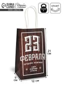 Пакет подарочный крафт, упаковка, «С 23 февраля», 12×21×9 см