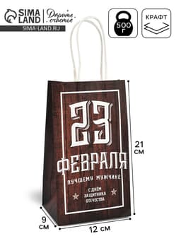 Пакет подарочный крафт, упаковка, «С 23 февраля», 12×21×9 см