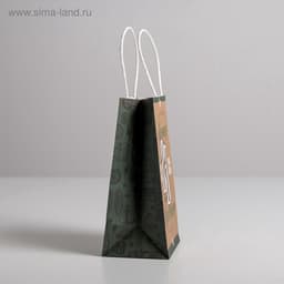 Пакет подарочный крафт, упаковка, «С 23 февраля», 12×21×9 см