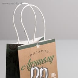 Пакет подарочный крафт, упаковка, «С 23 февраля», 12×21×9 см