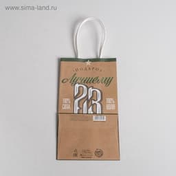 Пакет подарочный крафт, упаковка, «С 23 февраля», 12×21×9 см
