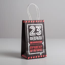 Пакет подарочный крафт, упаковка, «С 23 февраля!», 12×21×9 см