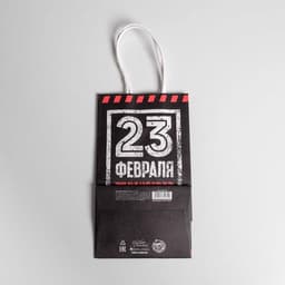 Пакет подарочный крафт, упаковка, «С 23 февраля!», 12×21×9 см