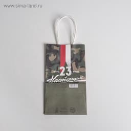 Пакет подарочный крафт, упаковка, «С 23 февраля», 12×21×9 см