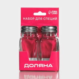 Набор для специй Доляна «Стандарт», 2 предмета: солонка, перечница 100 мл, стекло