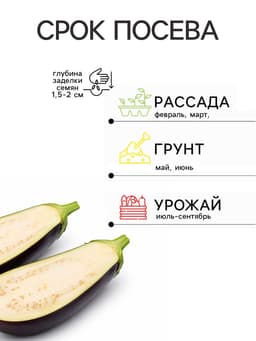 Семена Баклажан «Алёнка», 10 шт., раннеспелый, «Семена Алтая»
