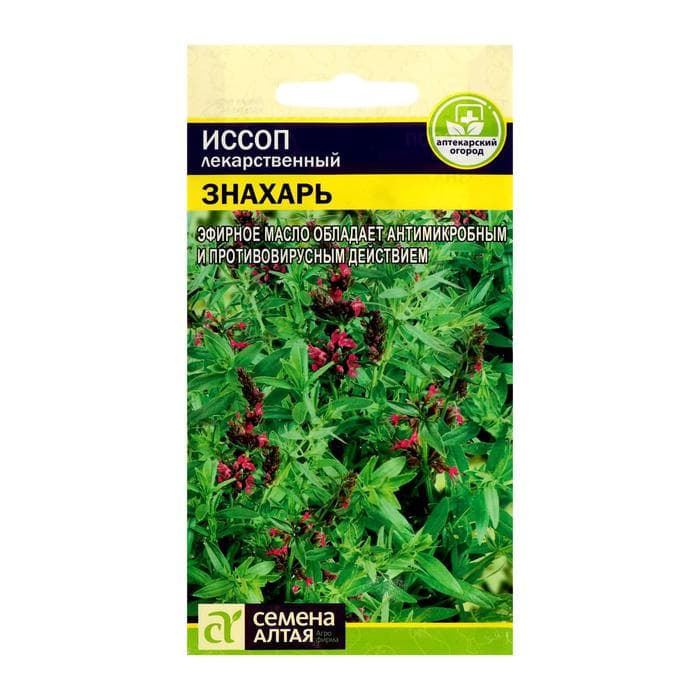 Семена Иссоп «Знахарь», 0.1 г, «Семена Алтая»