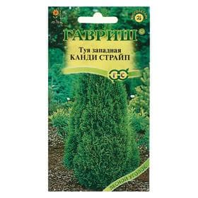 Семена Туя западная "Канди Страйп", ц/п,   0,05 г