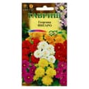 Семена цветов Георгина "Фигаро", ц/п,  7 шт