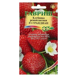 Семена Земляника «Грандиан», F1, 5 шт., ремонтантная, «Гавриш»