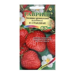 Семена Земляника «Грандиан», F1, 5 шт., ремонтантная, «Гавриш»
