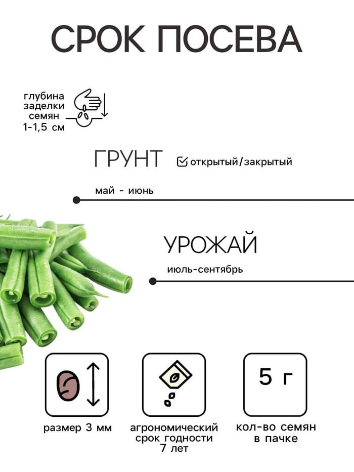 Семена Фасоль «Гречанка», 5 г, «Гавриш»