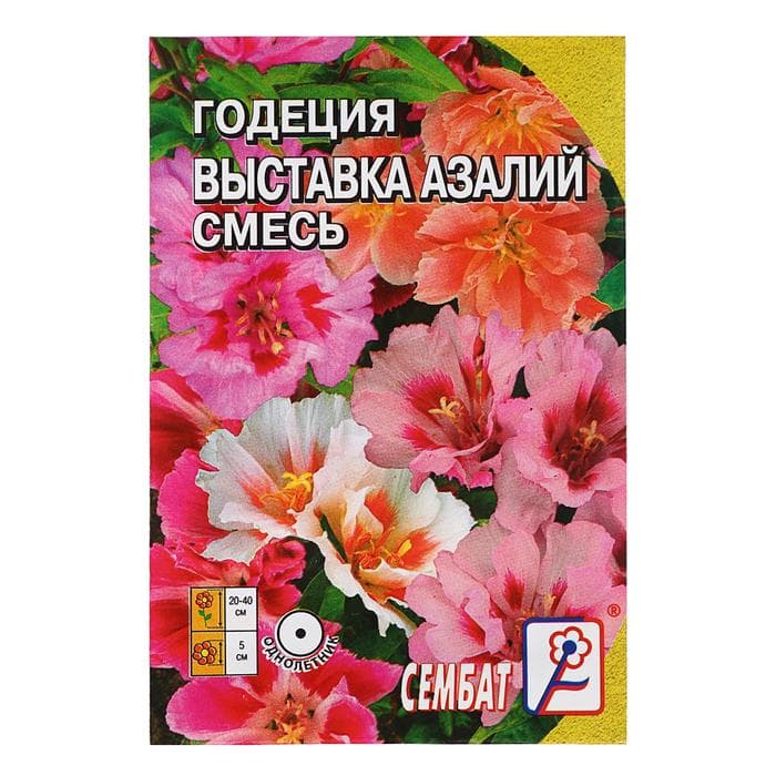 Семена цветов Годеция «Выставка Азалий», смесь, 0.1 г, «Сембат»