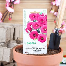 Семена цветов Эустома «Мариачи кармин», F1, махровая, 4 шт., «Гавриш»