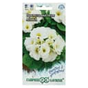 Семена цветов Примула "Альба высокая", ц/п,  серия Устойчив к заморозкам, 4 шт