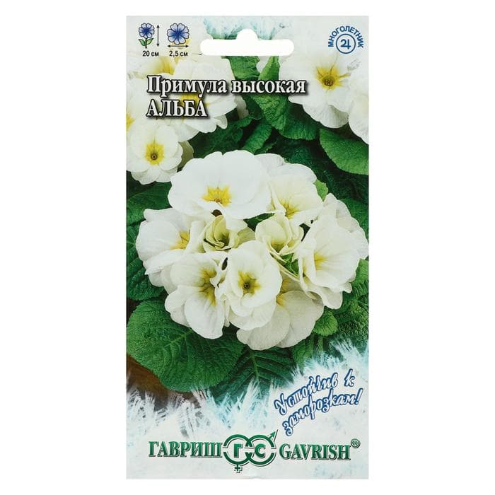 Семена цветов Примула "Альба высокая", ц/п,  серия Устойчив к заморозкам, 4 шт