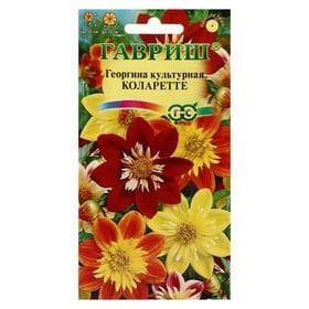 Семена цветов Георгина культурная «Коларетте» 0.2 г