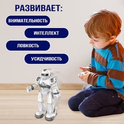 Робот на пульте управления IQ BOT GRAVITONE, радиоуправление, интерактивный, русское озвучивание, цвет серый
