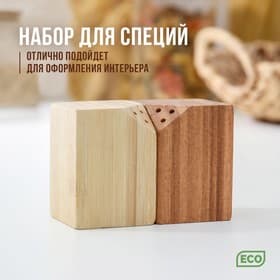 Набор для специй Катунь, 10×5×7 см, 2 шт., на магнитах, бамбук