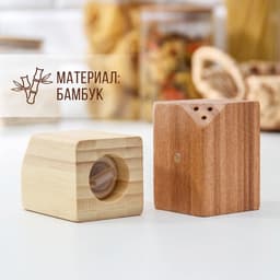 Набор для специй Катунь, 10×5×7 см, 2 шт., на магнитах, бамбук