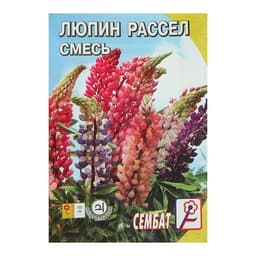 Семена цветов Люпин «Смесь Раселя», 0.4 г, «Сембат»