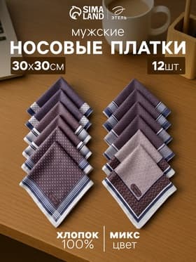 Платки носовые мужские «Этель. Серджио», 30×30 см, 12 шт., рисунок МИКС, фиолетовые