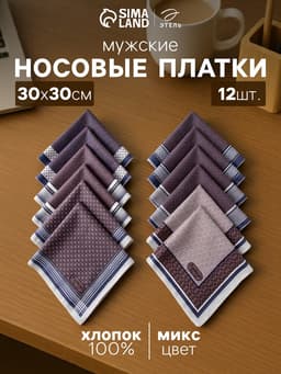 Платки носовые мужские «Этель. Серджио», 30×30 см, 12 шт., рисунок МИКС, фиолетовые