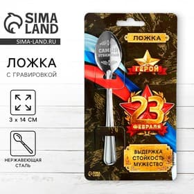 Ложка чайная с гравировкой «23 февраля», 14×3 см