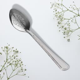 Ложка чайная именная «Анастасия», h=14 см