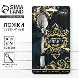 Ложка чайная именная «Александр», 14×3 см