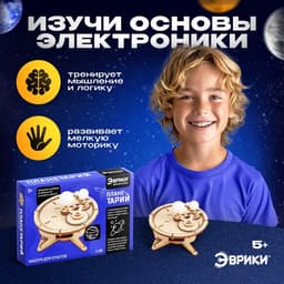 Набор для опытов «Планетарий», из дерева