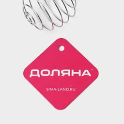 Венчик для взбивания Доляна «Шеф-повар», 23×4 см, МИКС